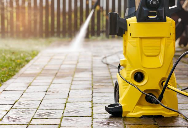 Animal Enclosure Cleaning in Saratoga, WY